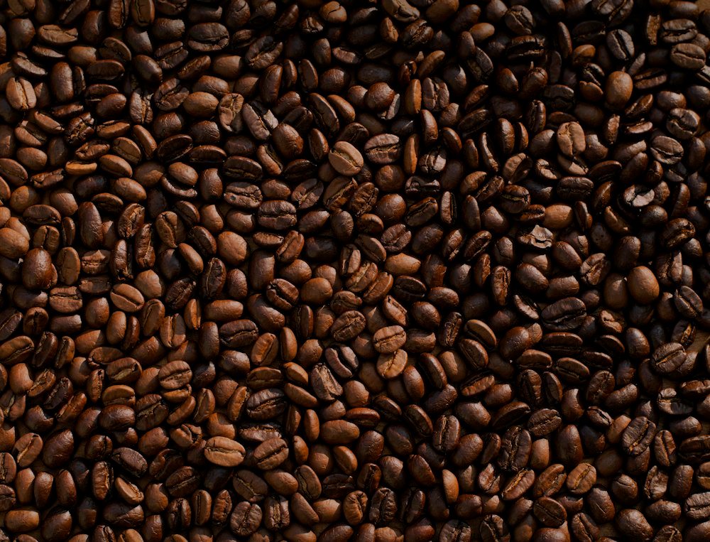 Traceability in a green-coffee supply chain is won at the collection point